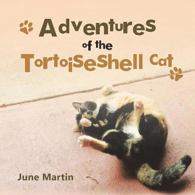 Adventures of the Tortoiseshell Cat 1