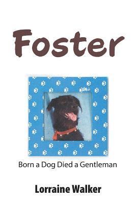 Foster 1