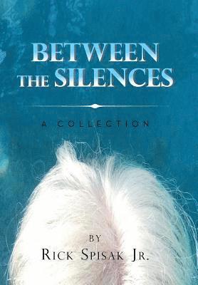 bokomslag Between the Silences