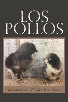 Los Pollos 1