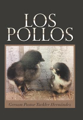 bokomslag Los Pollos