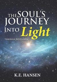 bokomslag Soul's Journey into Light