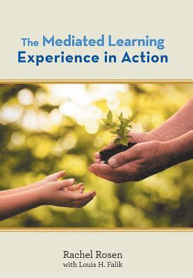 Rachel Rosen - Mediated Learning Experience in Action, Inbunden