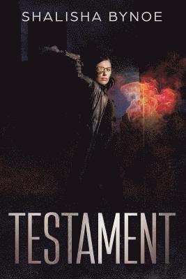bokomslag Testament