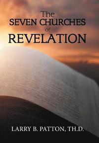 bokomslag Seven Churches of Revelation