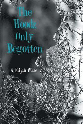bokomslag Hoodz Only Begotten