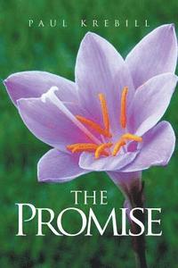 bokomslag The Promise