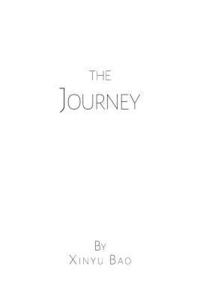 bokomslag Journey