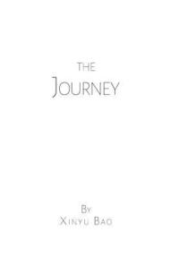 bokomslag Journey