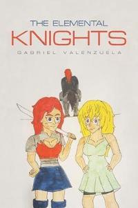 bokomslag The Elemental Knights