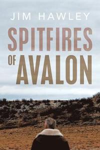 bokomslag Spitfires of Avalon