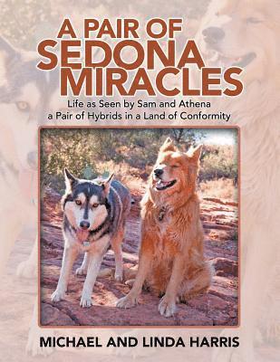 bokomslag A Pair of Sedona Miracles