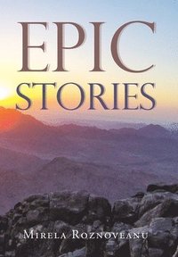 bokomslag Epic Stories