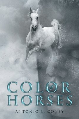 Color of Horses 1