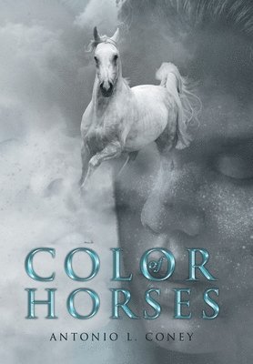 Color of Horses 1