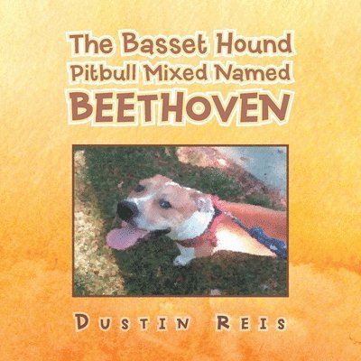 The Basset Hound Pitbull Mixed Named Beethoven 1