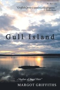 bokomslag Gull Island