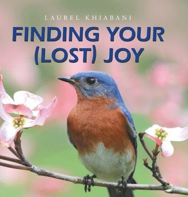 Finding Your (Lost) Joy 1