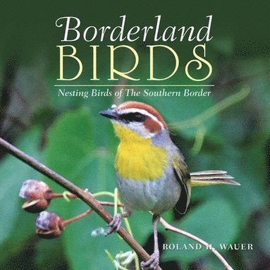 Roland H Wauer - Borderland Birds, Häftad