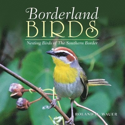 Borderland Birds 1