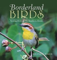 bokomslag Borderland Birds