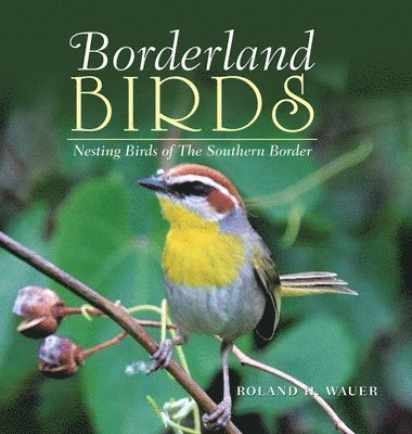 Borderland Birds 1