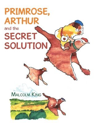 bokomslag Primrose, Arthur and the Secret Solution