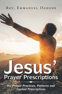 bokomslag Jesus' Prayer Prescriptions