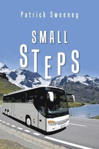 bokomslag Small Steps