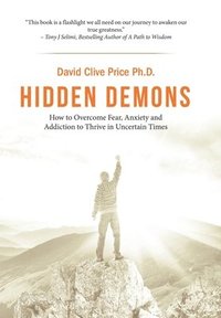 bokomslag Hidden Demons