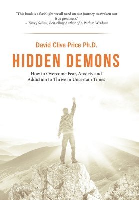 bokomslag Hidden Demons