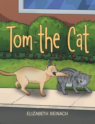 Tom - the Cat 1