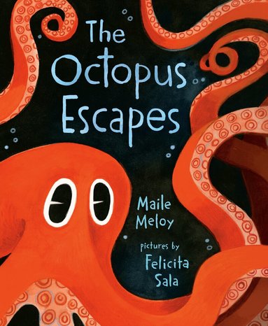 Maile Meloy - Octopus Escapes, Inbunden