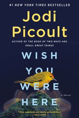 bokomslag Wish You Were Here: A Novel