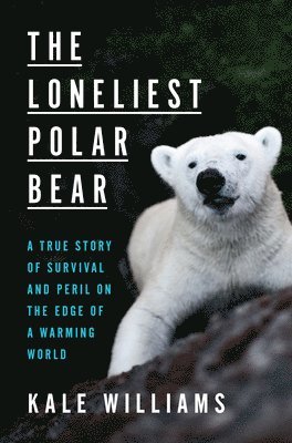 bokomslag Loneliest Polar Bear