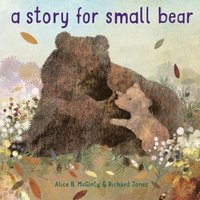 bokomslag Story for Small Bear