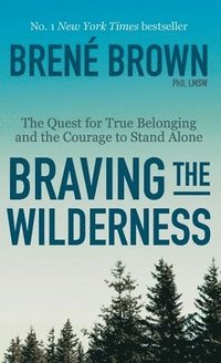 bokomslag Braving The Wilderness