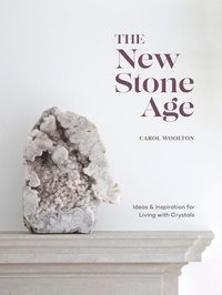 bokomslag The New Stone Age