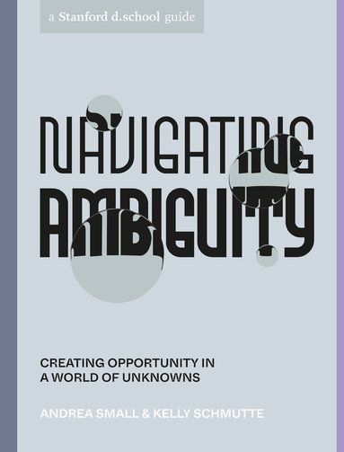 Andrea Small, Kelly Schmutte - Navigating Ambiguity, Häftad
