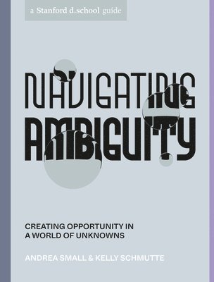 Navigating Ambiguity 1