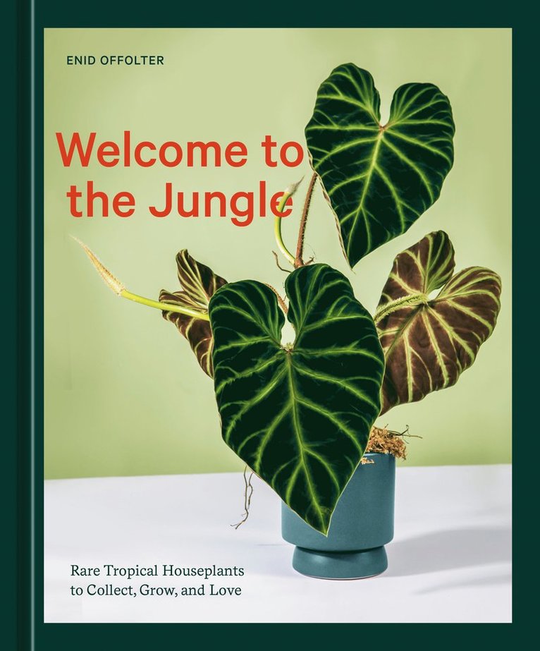 Enid Offolter - Welcome to the Jungle, Inbunden