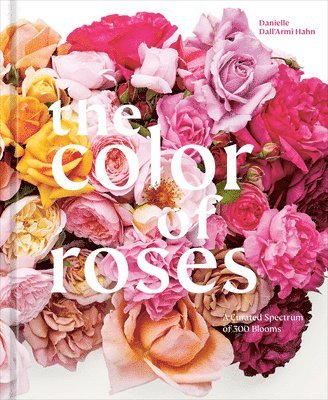 bokomslag Color of Roses