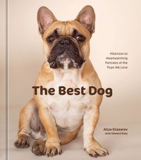 bokomslag Best Dog