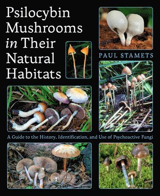 bokomslag Psilocybin Mushrooms in Their Natural Habitats: A Guide to the History, Identification, and Use of Psychoactive Fungi