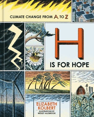 bokomslag H Is for Hope