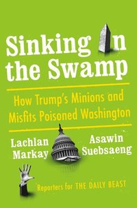 bokomslag Sinking In The Swamp
