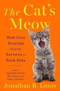 bokomslag The Cat's Meow: How Cats Evolved from the Savanna to Your Sofa