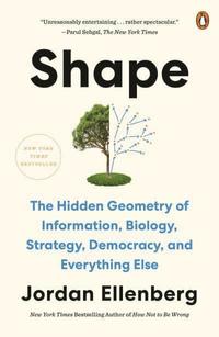 bokomslag Shape: The Hidden Geometry of Information, Biology, Strategy, Democracy, and Everything Else