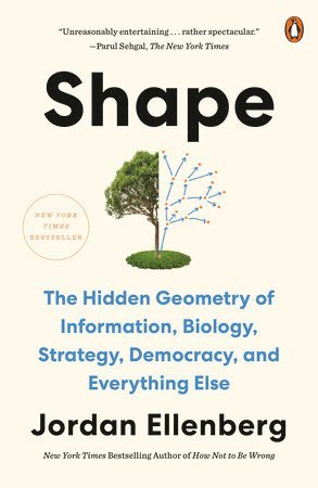 bokomslag Shape: The Hidden Geometry of Information, Biology, Strategy, Democracy, and Everythingelse
