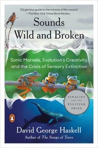 bokomslag Sounds Wild and Broken: Sonic Marvels, Evolution's Creativity, and the Crisis of Sensory Extinction